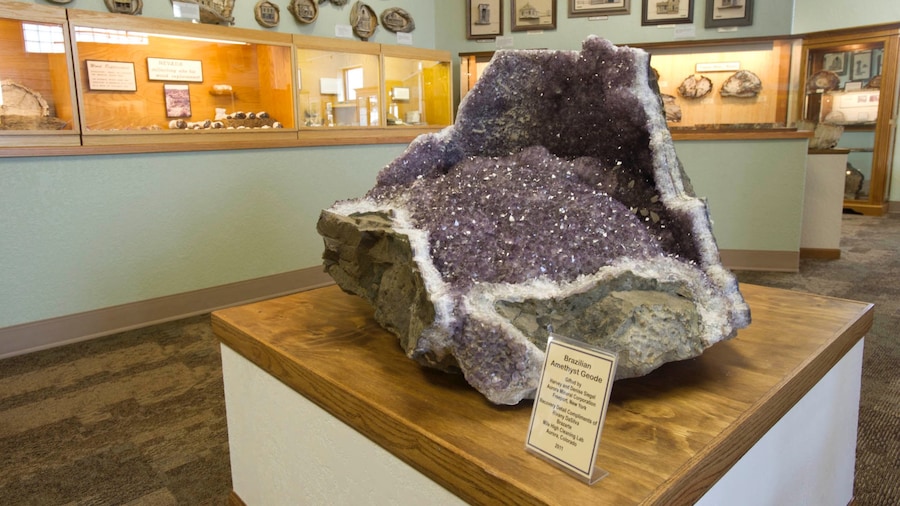 Galerie de bois pétrifié mettant en vedette vues intérieures et statue ou sculpture