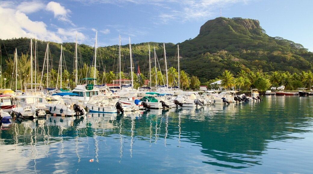 Raiatea Marina toont algemene kustgezichten, varen en een baai of haven