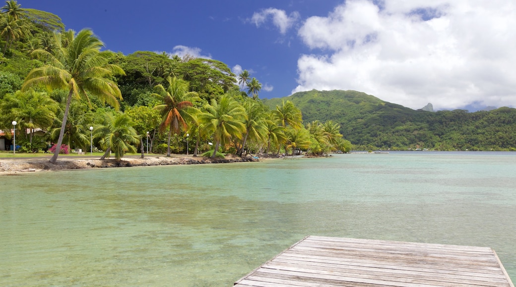 Opoa caratteristiche di paesaggio tropicale, vista della costa e vista del paesaggio