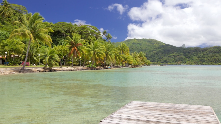 Opoa caratteristiche di paesaggio tropicale, vista della costa e vista del paesaggio