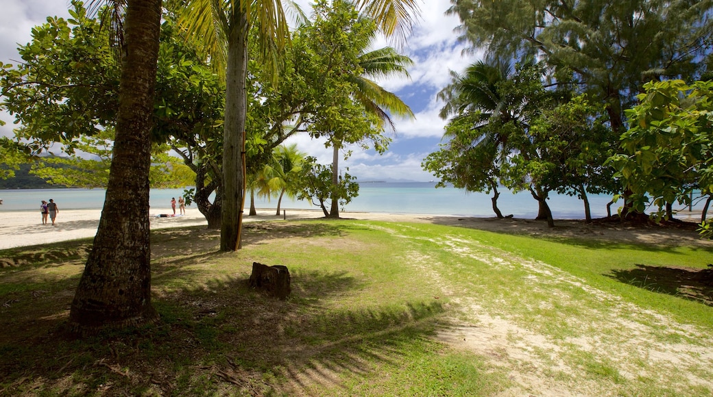 Opoa showing general coastal views and tropical scenes