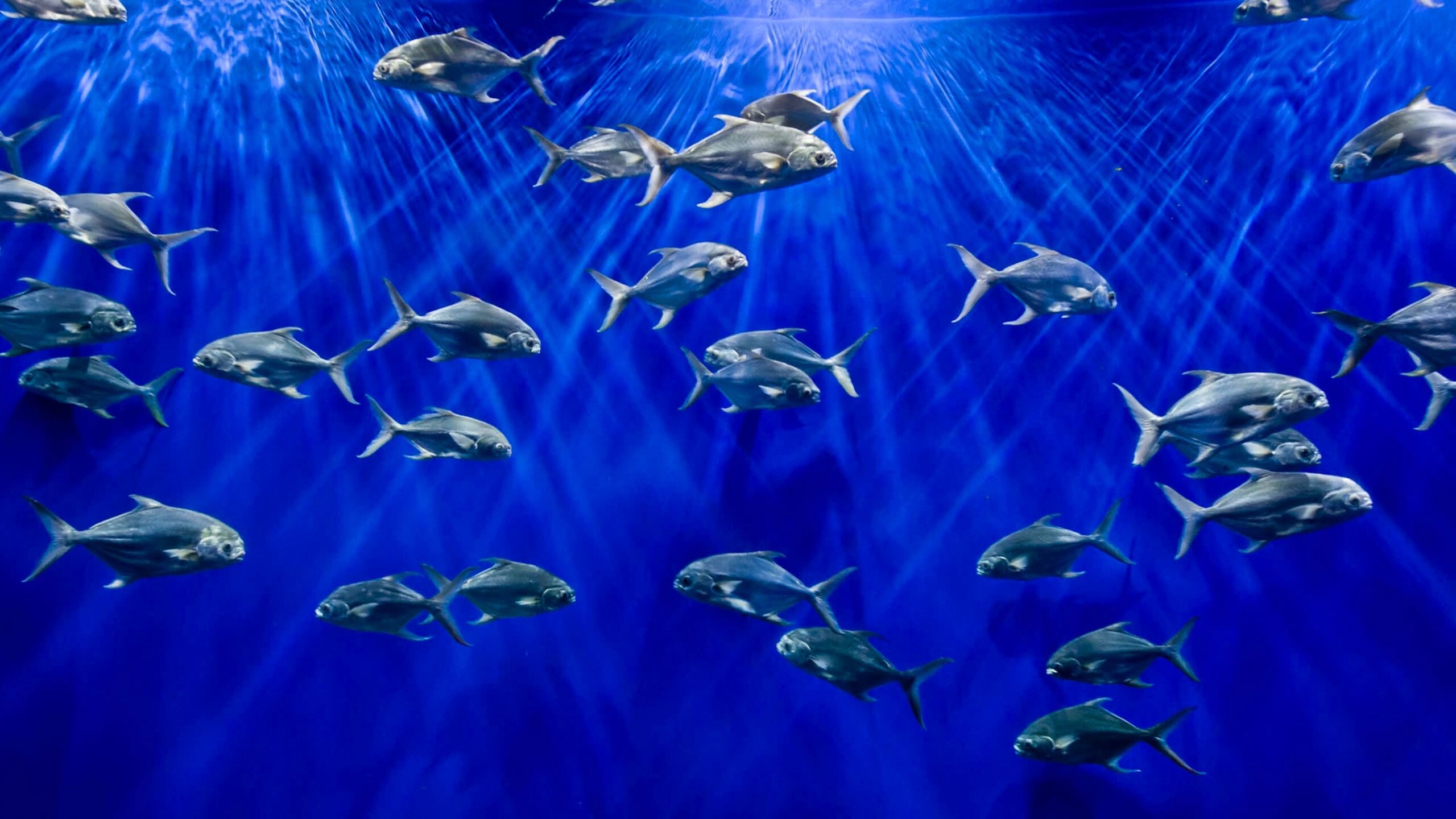 South Omaha, Omaha Vacation Rentals villa rentals & more Vrbo