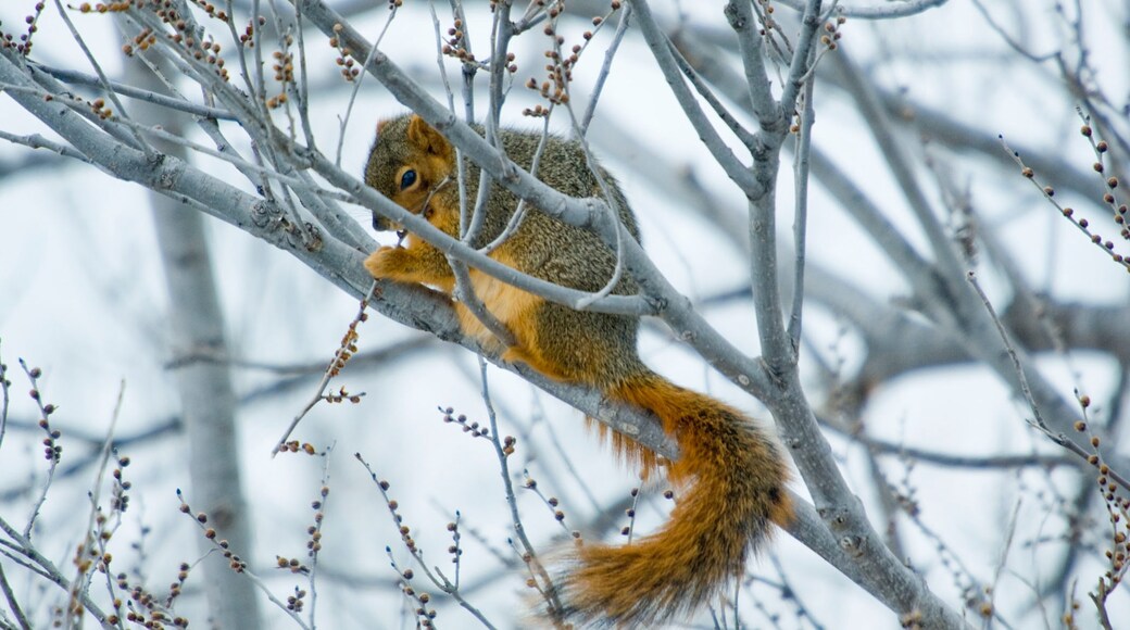 Photo provided by Nebraska Tourism