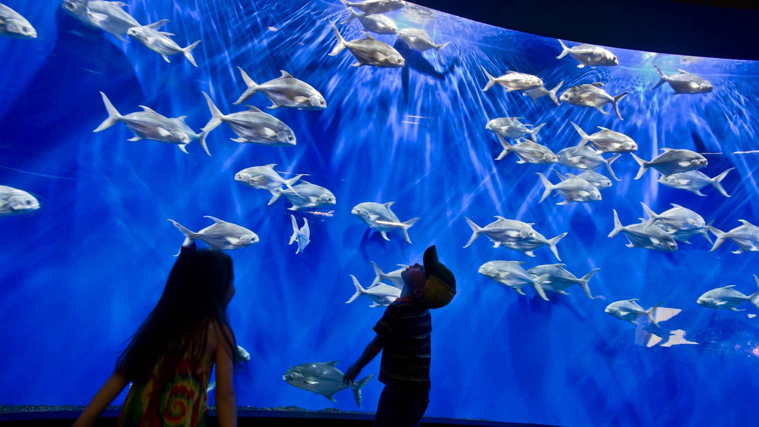 Henry Doorly Zoo showing marine life and interior views as well as children