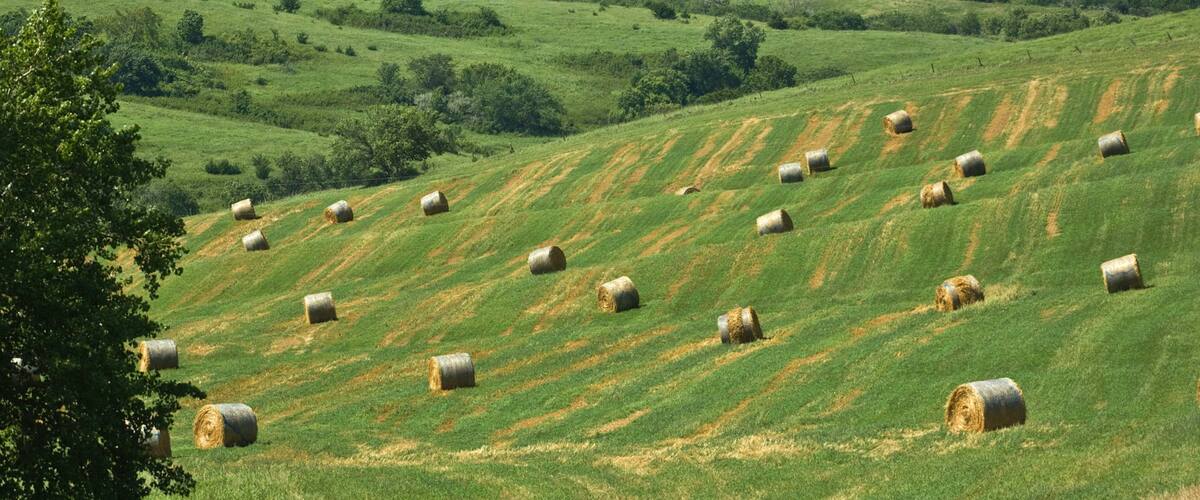 Niobrara which includes landscape views and tranquil scenes