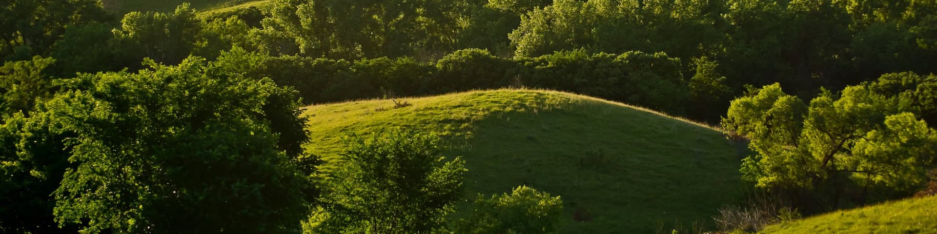 Niobrara featuring landscape views and tranquil scenes