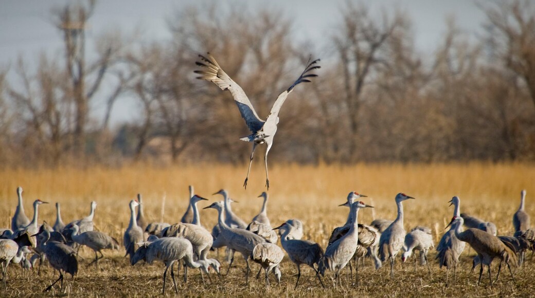 Photo provided by Nebraska Tourism