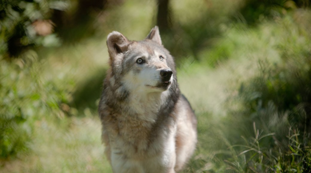 Foto proporcionada por Nebraska Tourism