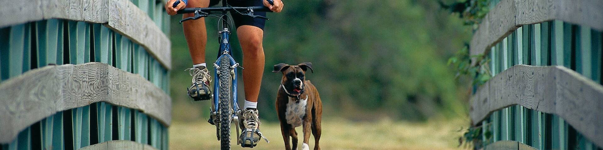 Lincoln featuring cycling as well as an individual male