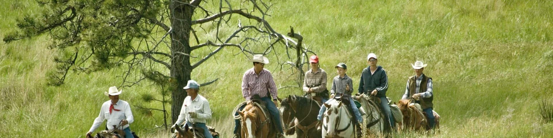 Crawford which includes horseriding and tranquil scenes as well as a small group of people