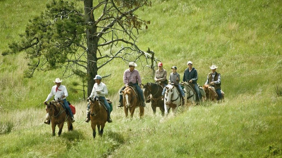 Crawford featuring tranquil scenes and horse riding as well as a small group of people