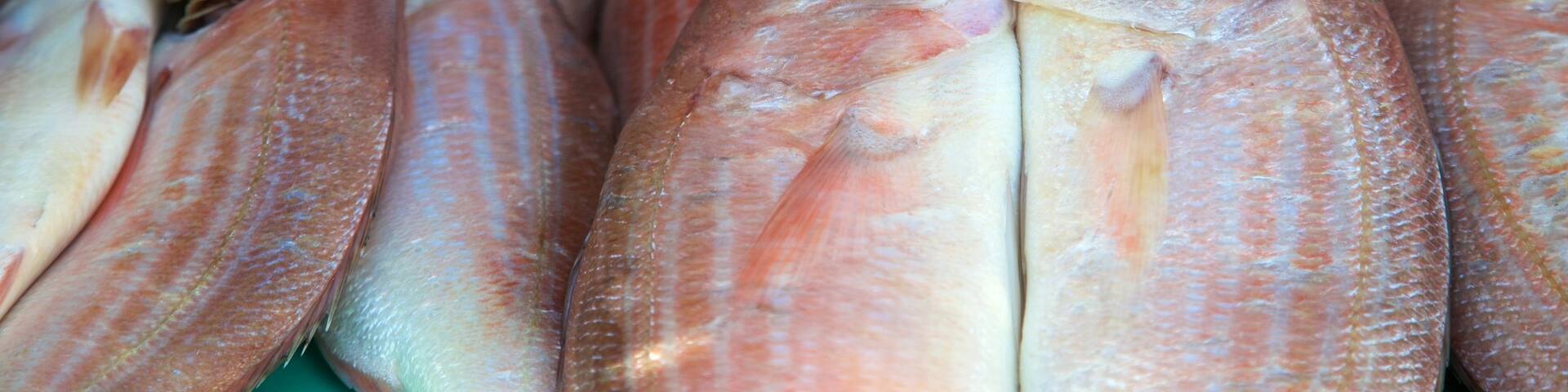 Strand que inclui mercados