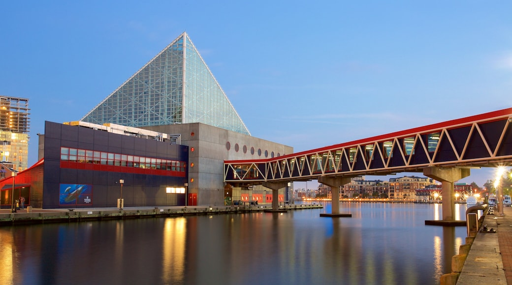 Reisetipps Baltimore 2022 das Beste in Baltimore entdecken Expedia