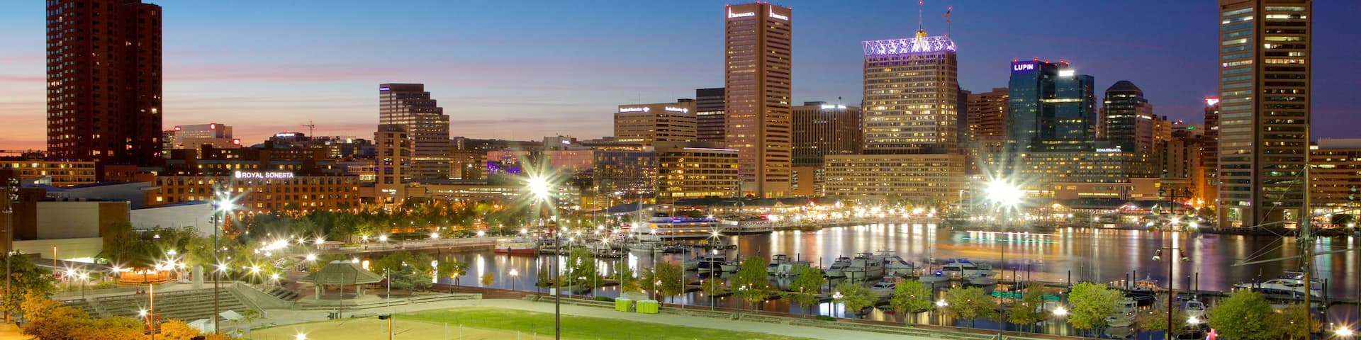 Baltimore featuring night scenes, a garden and skyline