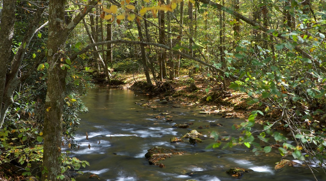Lembah Cataloochee