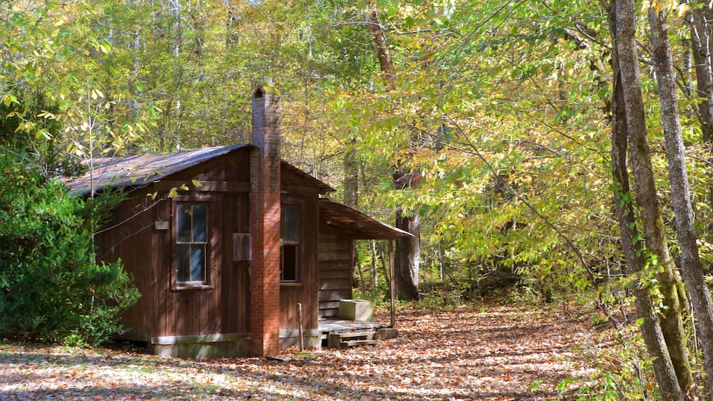 Charlotte montrant scènes forestières, maison et scènes tranquilles