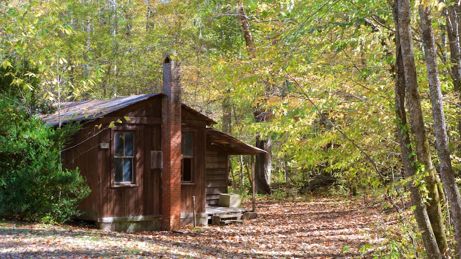 Charlotte que incluye bosques, situaciones tranquilas y una casa