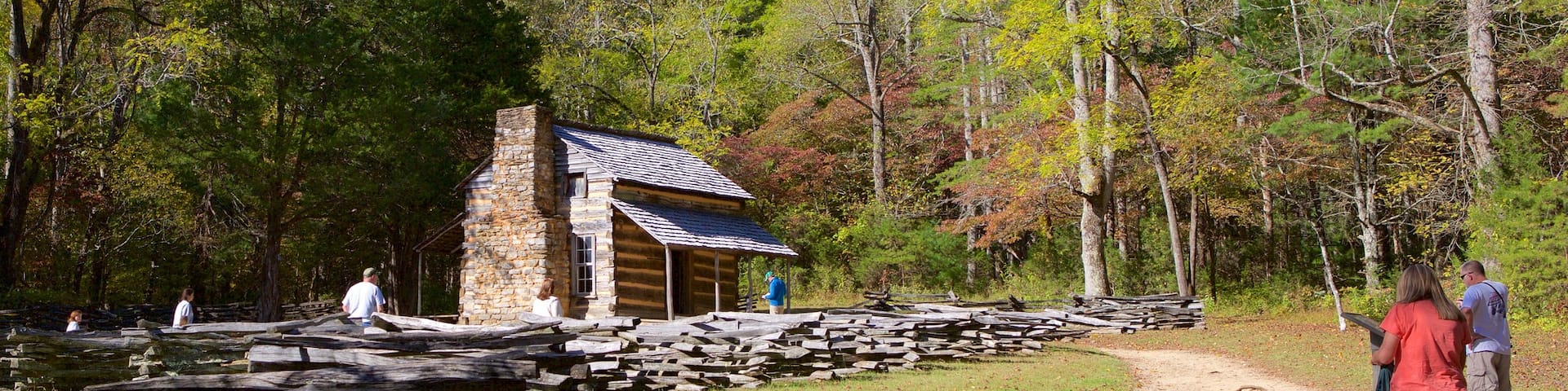 Townsend which includes a house, tranquil scenes and forests