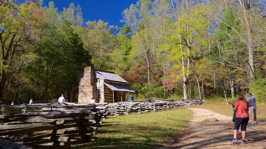Townsend which includes a house, tranquil scenes and forests