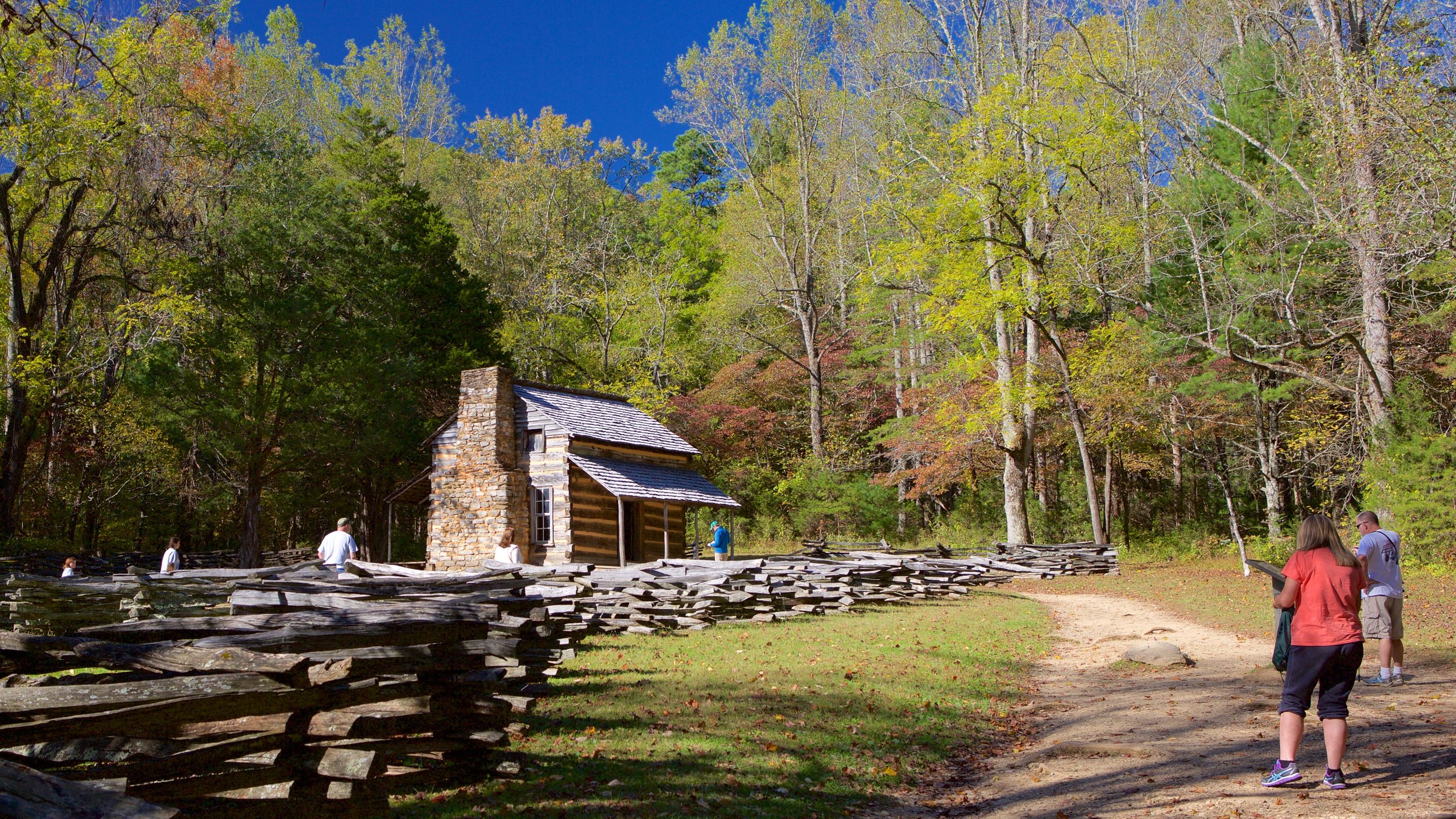 Visit Townsend: 2022 Travel Guide for Townsend, Tennessee  Expedia