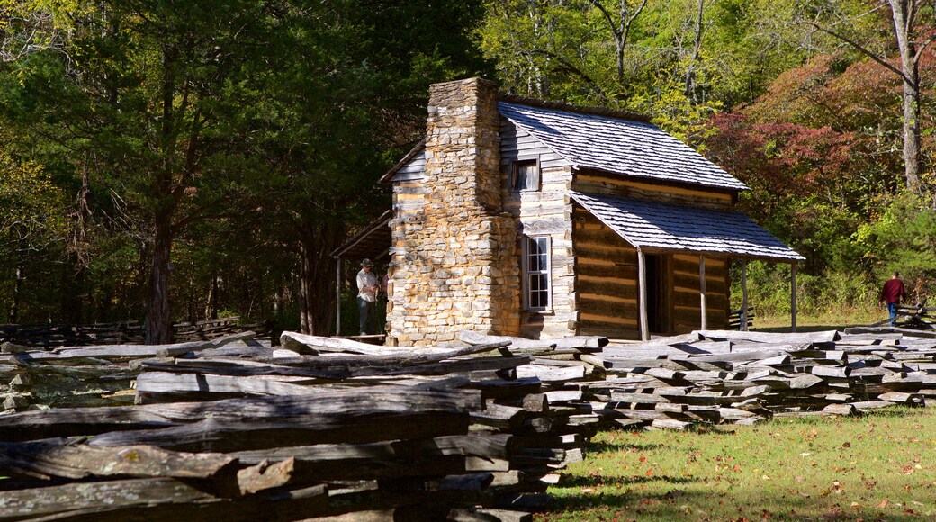 Cades Cove mettant en vedette scĂšnes tranquilles, maison et forĂȘts