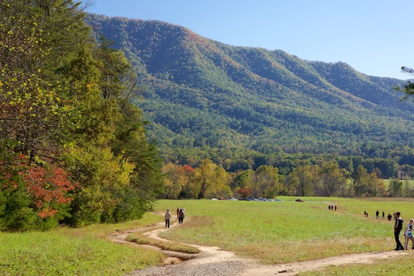 Cades Cove qui includes forêts et montagnes aussi bien que petit groupe de personnes