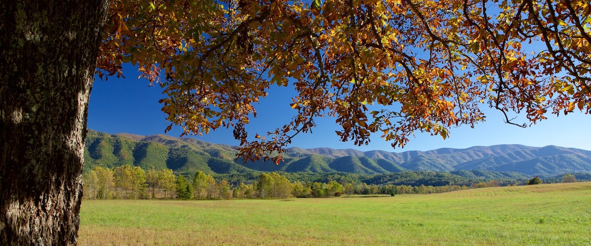 Cades Cove which includes tranquil scenes and mountains