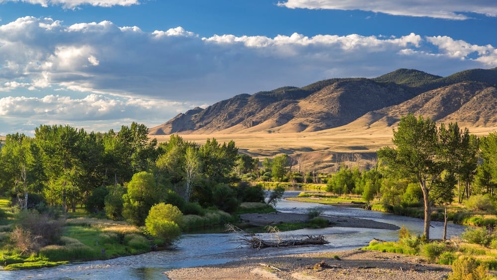 Dillon mettant en vedette montagnes, rivière ou ruisseau et scènes tranquilles