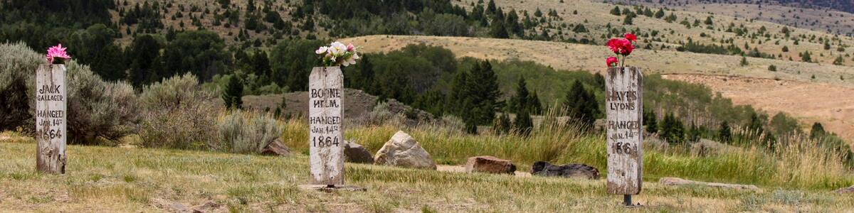 Virginia City welches beinhaltet Waldmotive und Berge