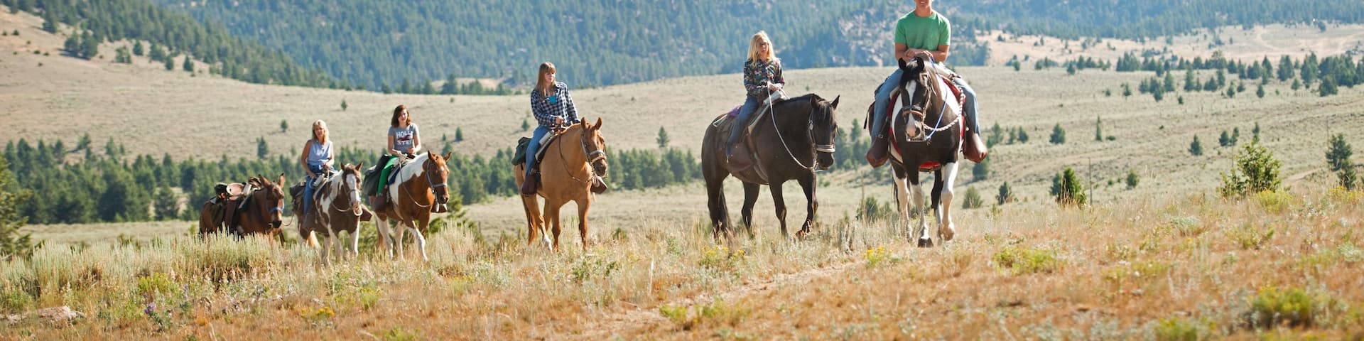 Southwest Montana which includes horseriding, mountains and forests