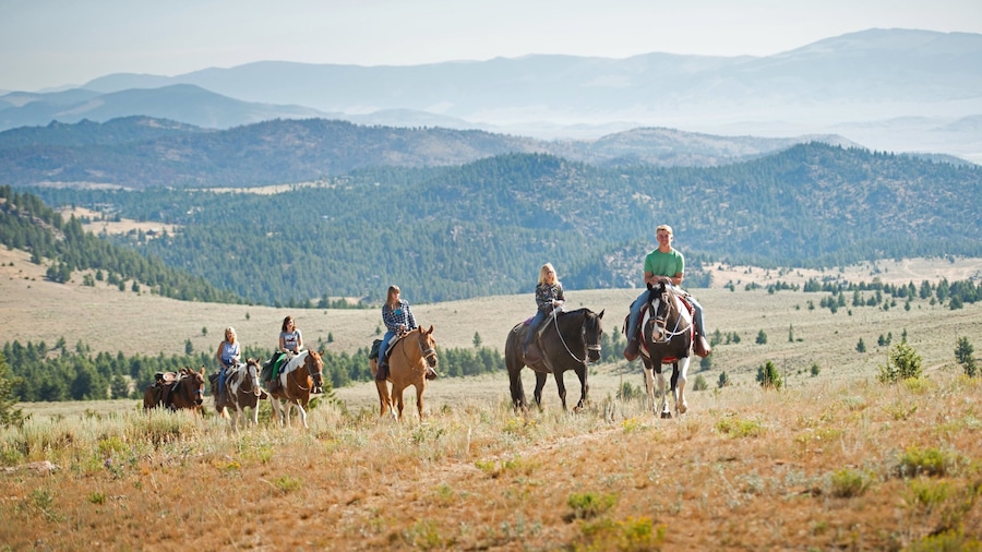 Southwest Montana che include montagna, giro a cavallo e paesaggio forestale
