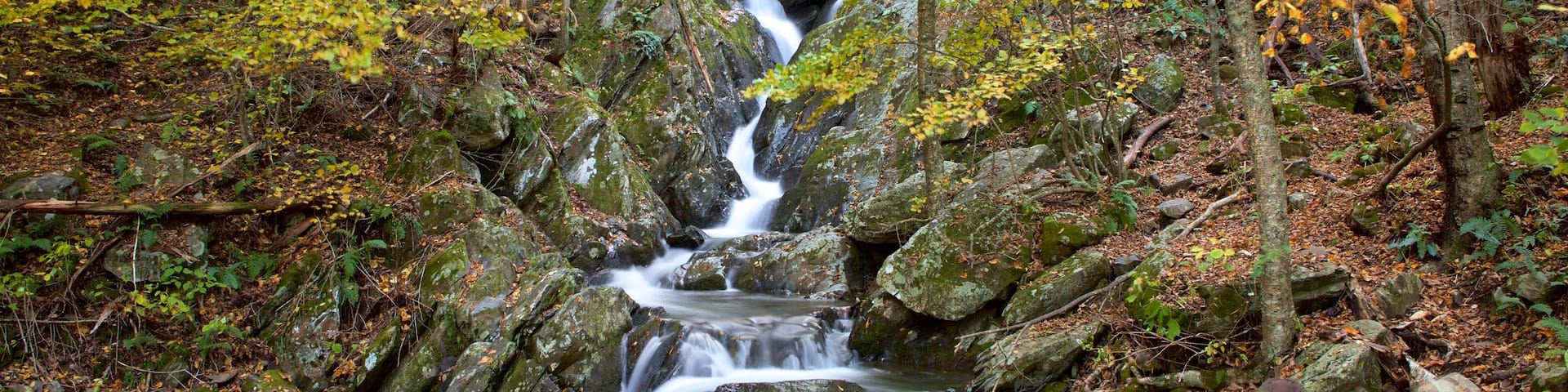 Shenandoah National Park showing a river or creek and forests as well as a couple