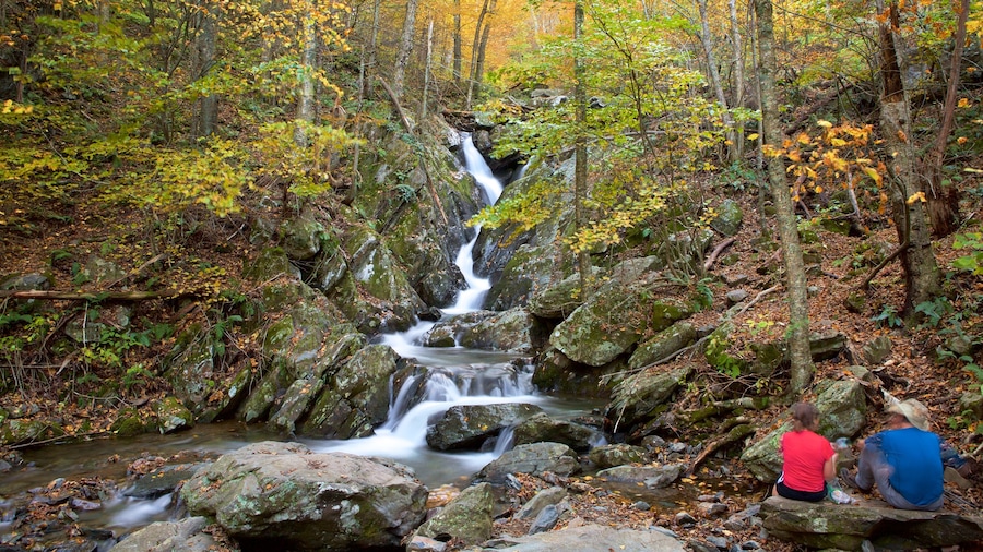 Shenandoah National Park showing forest scenes and a river or creek as well as a couple