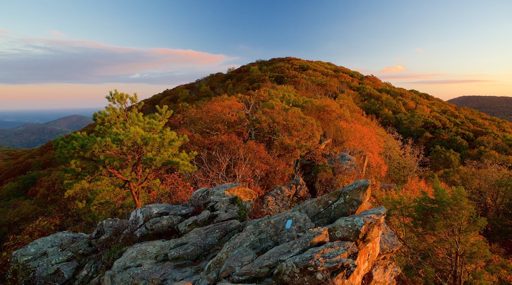 Shenandoah Nationalpark