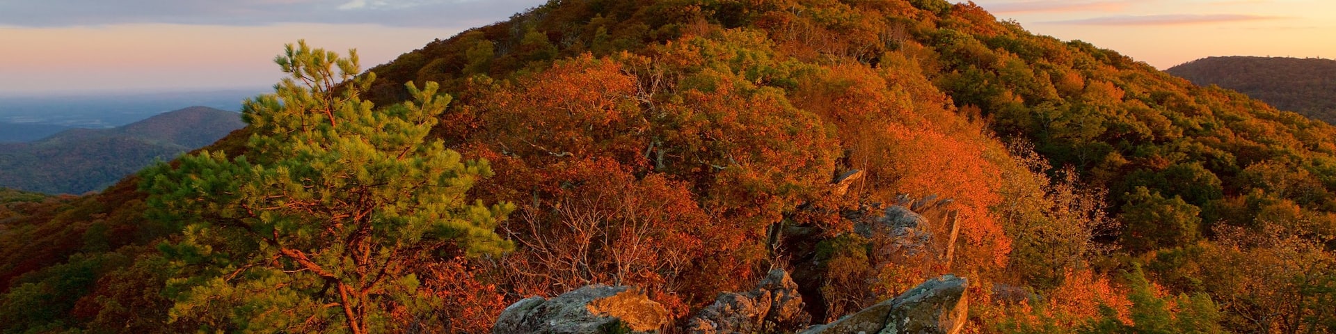 Shenandoah National Park featuring forests, mountains and a sunset