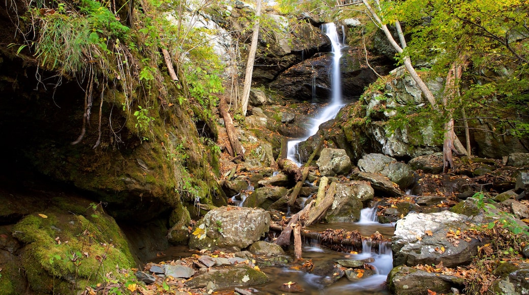 Shenandoah National Park inclusief bergen, een waterval en een rivier of beek