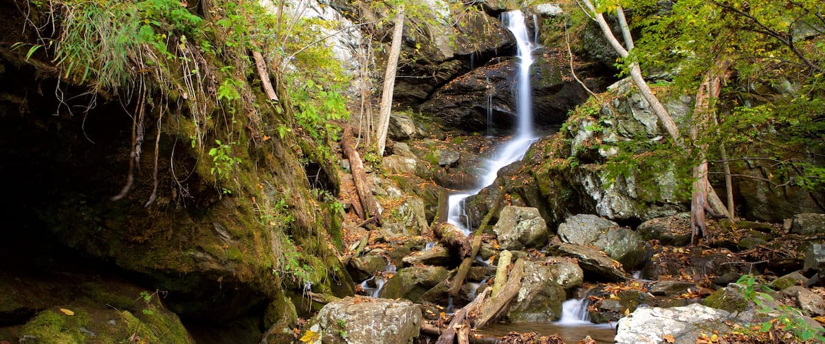 Shenandoah National Park presenterar en å eller flod, skogslandskap och ett vattenfall