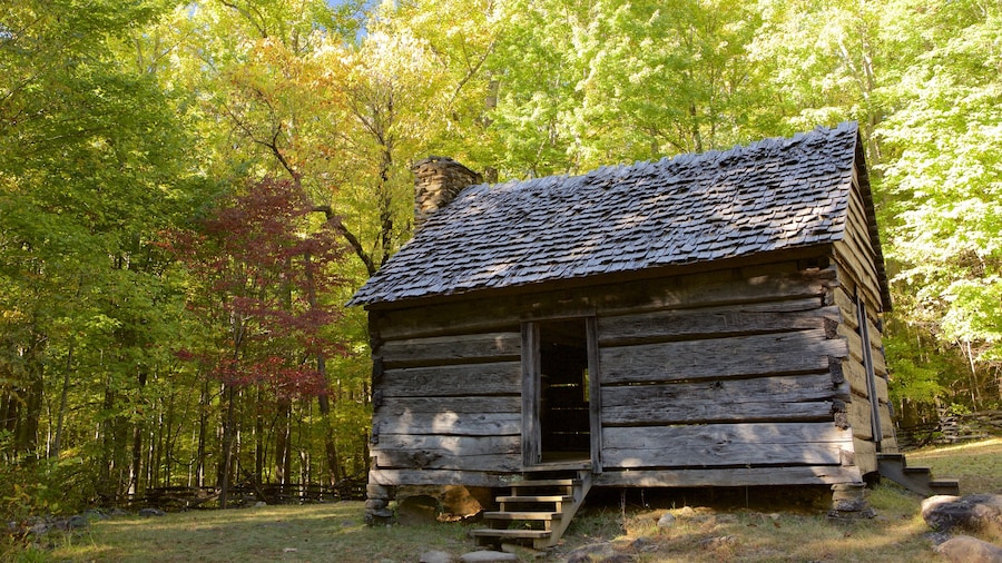 Historic cabin surrounded by lush forests on the Roaring Fork Motor Nature Trail.