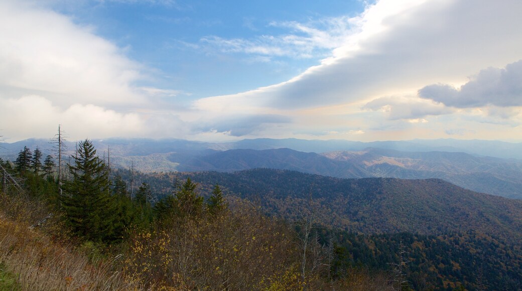 Clingmans Dome mostrando vistas de paisajes y escenas tranquilas