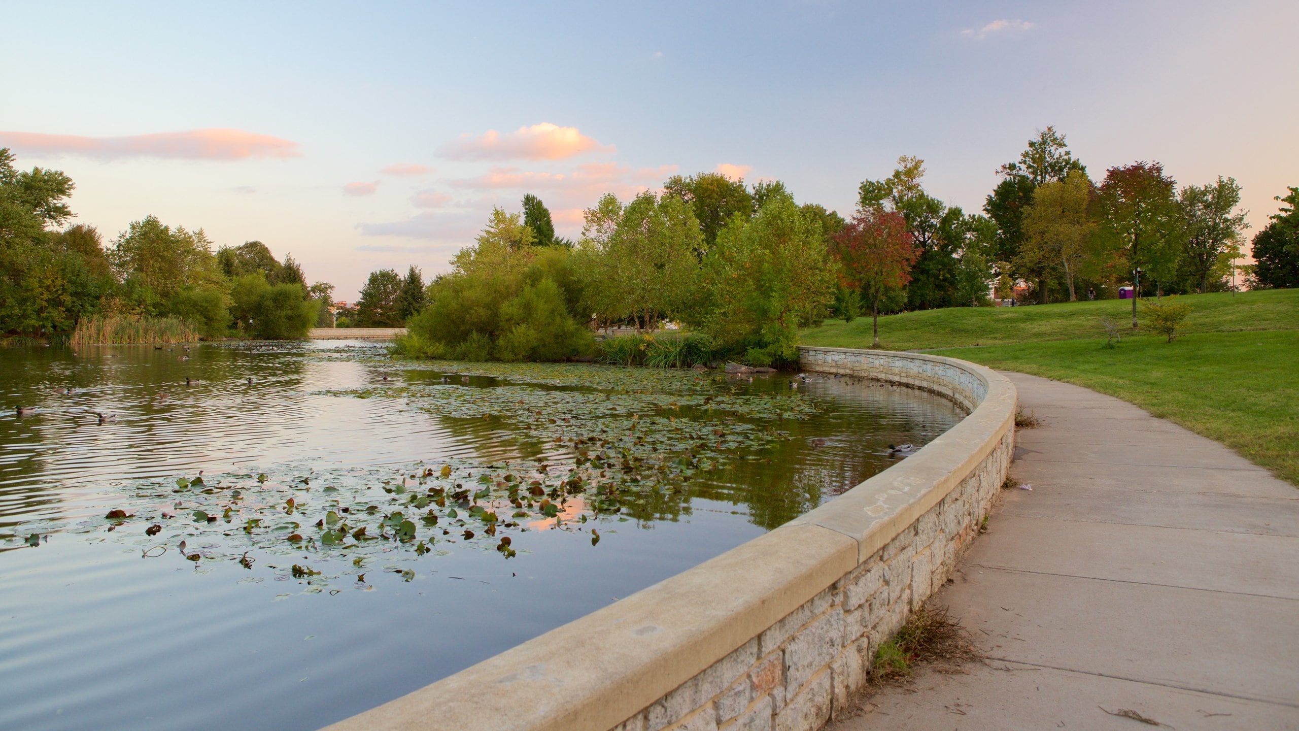 Patterson Park