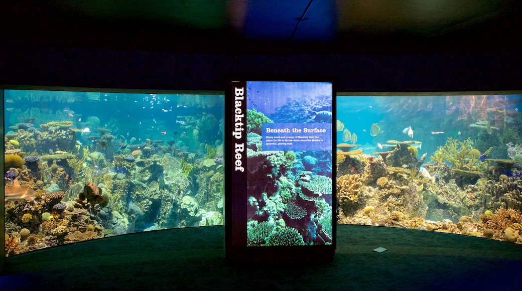 National Aquarium in Baltimore