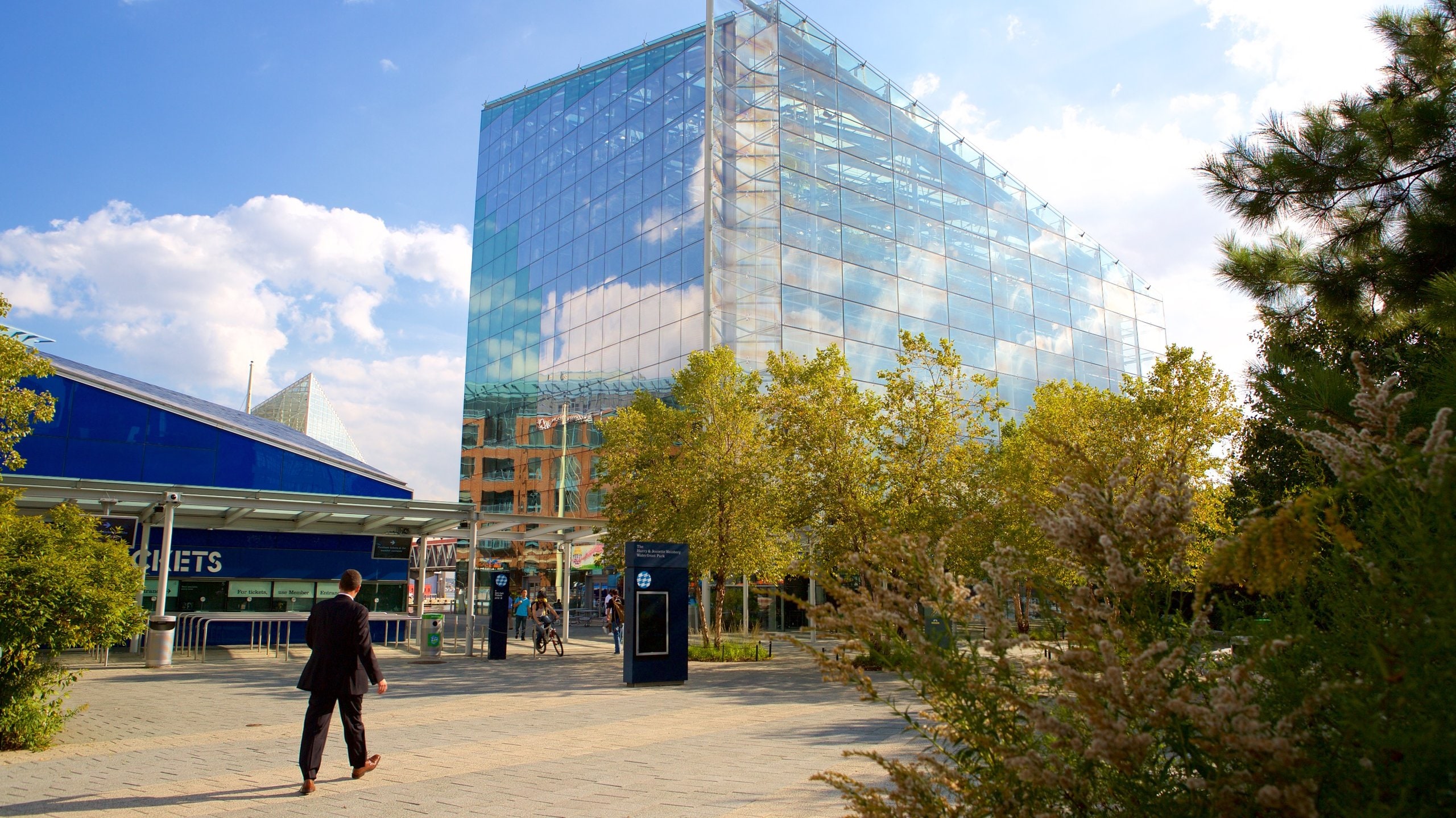 Visit National Aquarium in Baltimore in Baltimore | Expedia