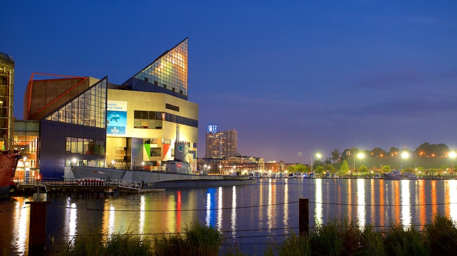 National Aquarium in Baltimore og byder på en flod eller et vandløb og natteliv