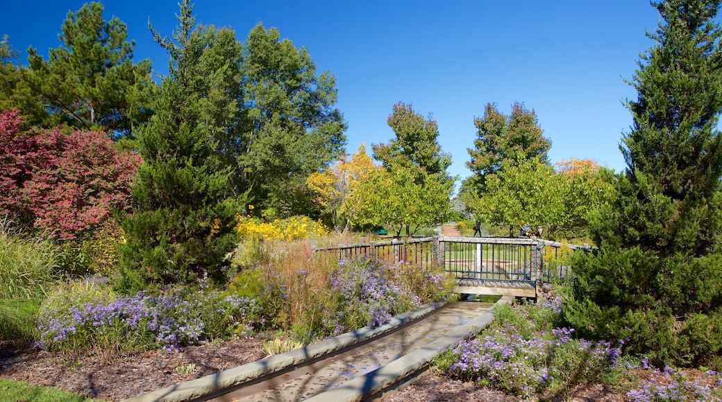 Daniel Stowe Botanical Garden which includes wildflowers and a garden