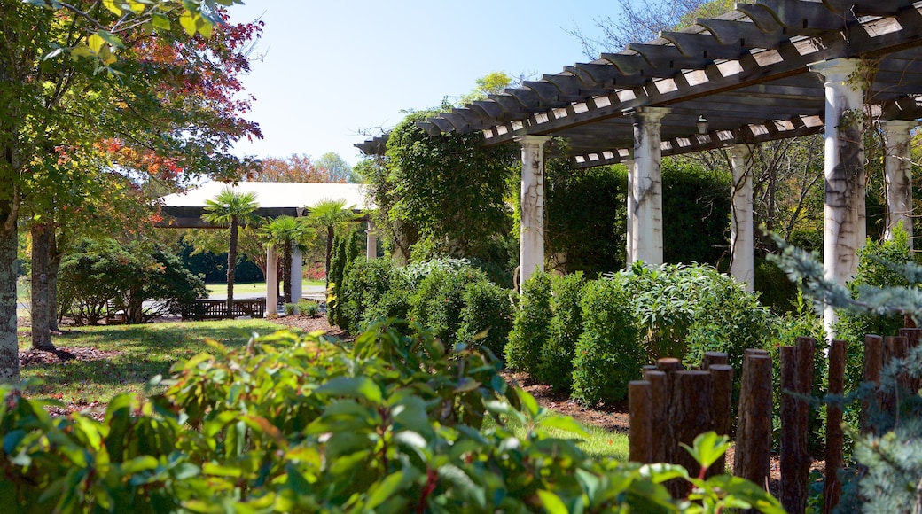 Jardín botánico Daniel Stowe que incluye un parque