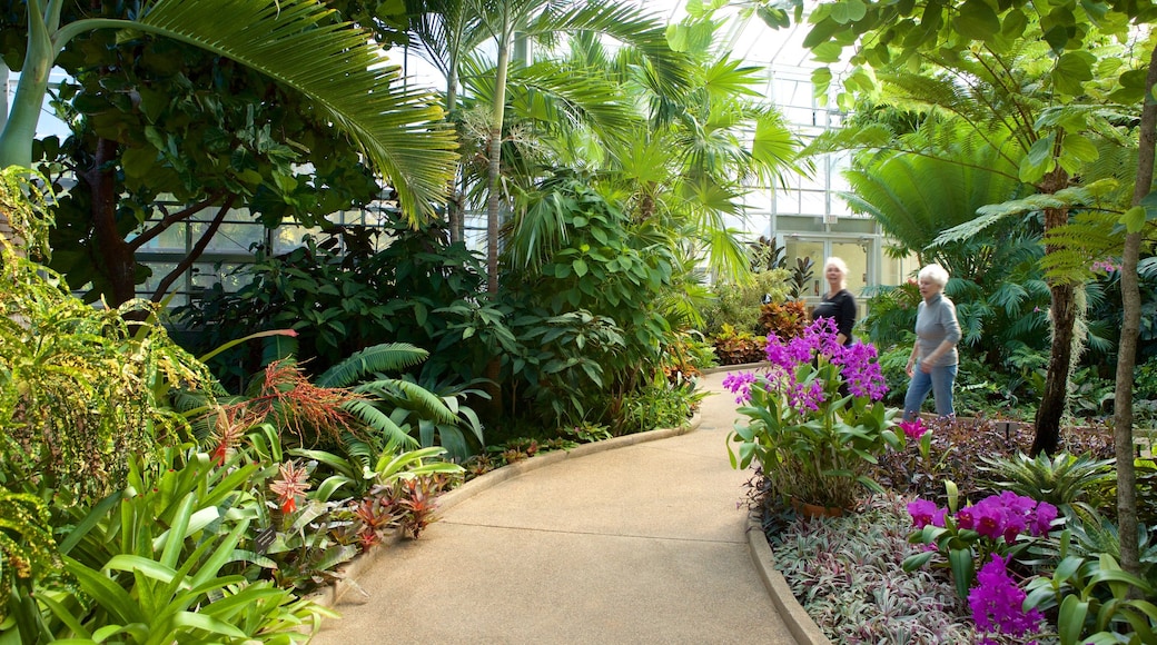 Daniel Stowe Botanical Garden showing a park, interior views and wildflowers