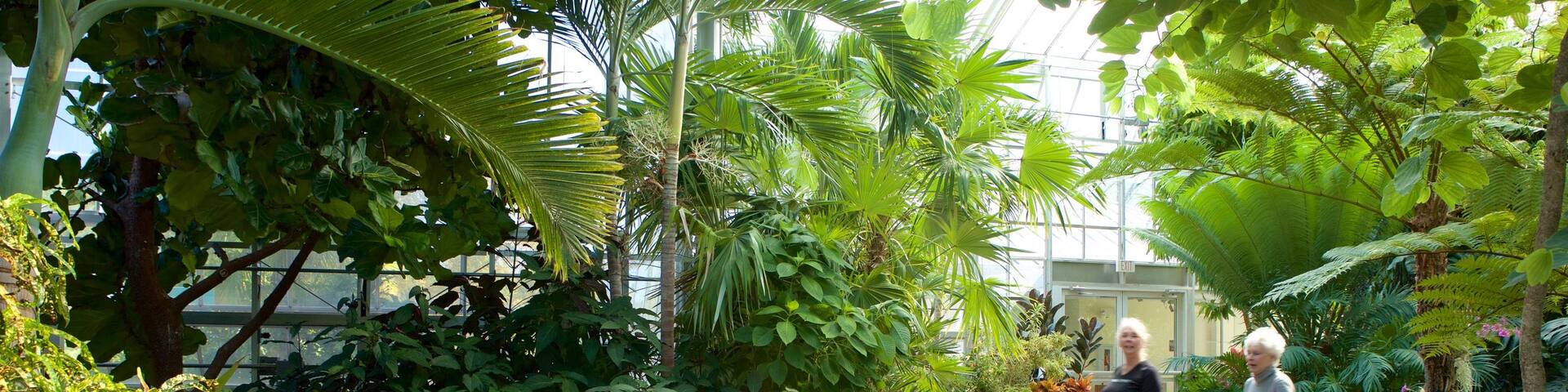 Daniel Stowe Botanical Garden