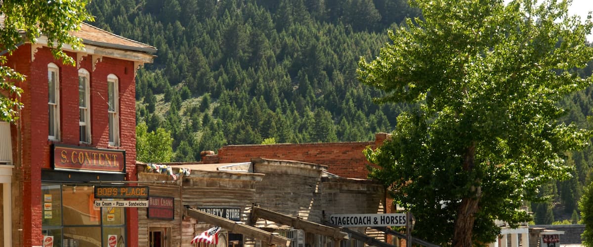 Virginia City which includes forest scenes, heritage architecture and a small town or village