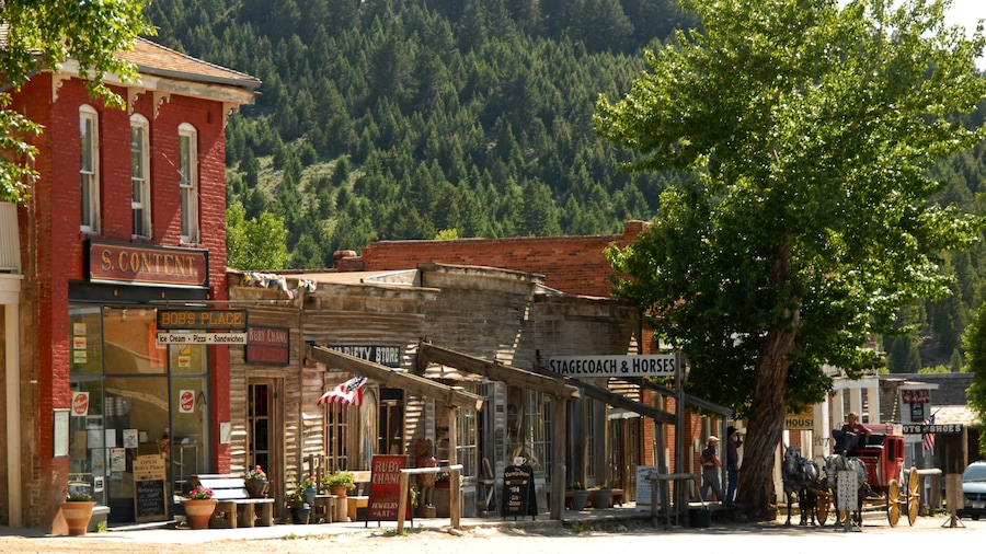 Virginia City que incluye patrimonio de arquitectura, bosques y una pequeña ciudad o pueblo