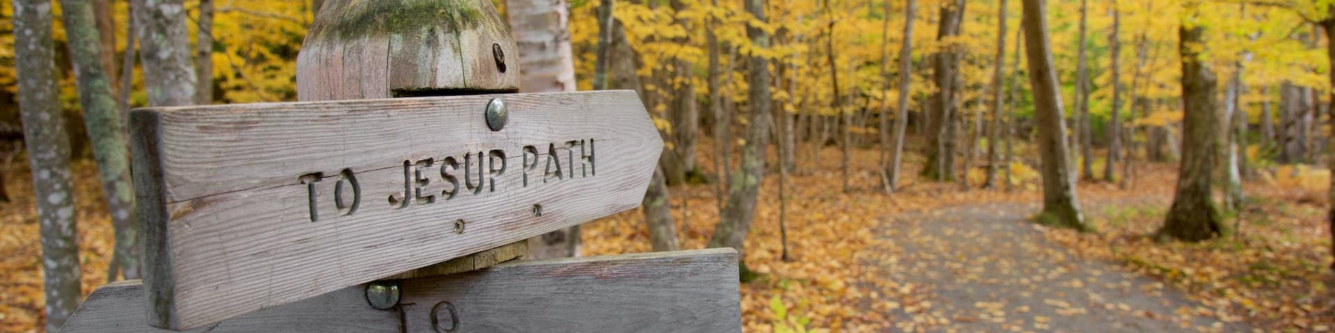 Acadia National Park featuring signage and forest scenes